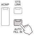 illustration of AUTO FILL IN button.