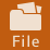 File Option Icon