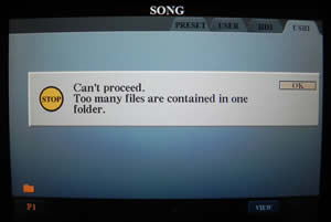 Too Many Folders error screen