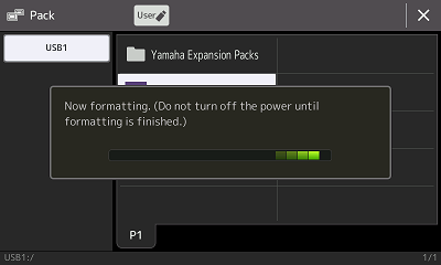 Formatting Expansion Memory now underway