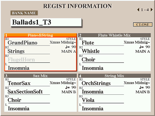 REGISTRATION INFO Screen