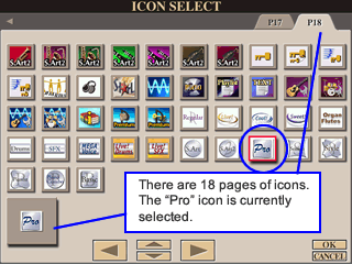 Icon Select screen P18