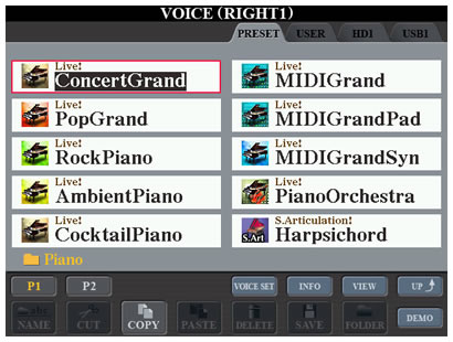 R1 Voice screen