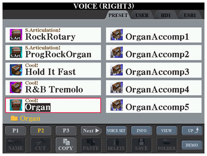 Voice R3 screen