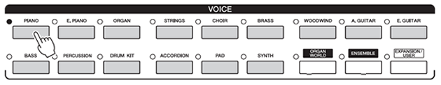 Tyros5 Voice Buttons
