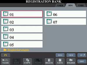 Fig 2 - Registration backup foldersfolders