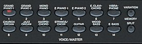 Voice buttons